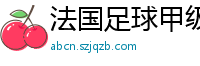 法国足球甲级联赛